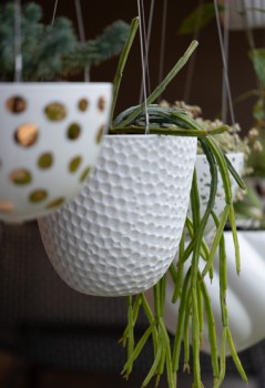 Garden Designers in Perth