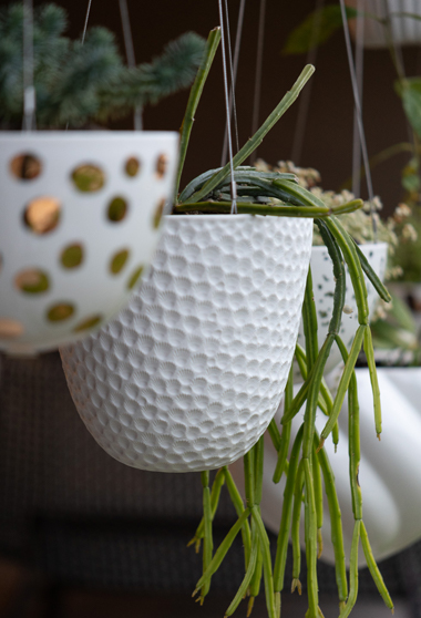 Garden Designers in Perth