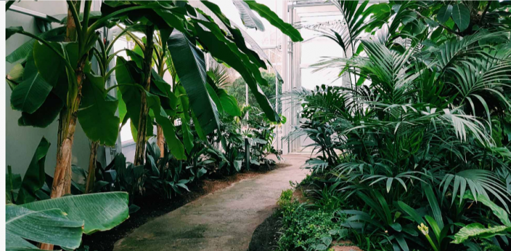 Gardening Services Sydney