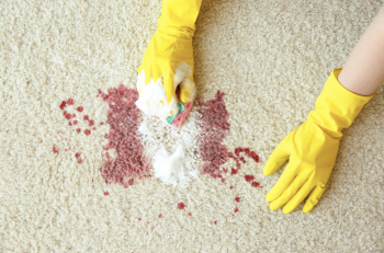 Premium Carpet Stain Removal service