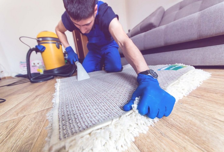 Best House Carpet Cleaning Canberra