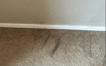 Best Carpet Water Damage Melbourne -Master Carpet Repair Melbourne 