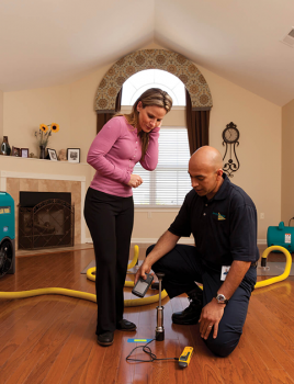 Best Water Damage Restoration Service Sunshine Coast