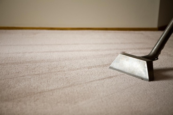 Carpet Mould Damage Removal Canberra