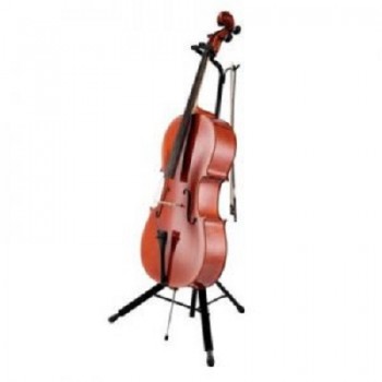 Looking for affordable cello lessons in Melbourne?