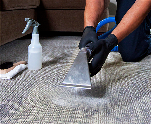 Carpet Cleaning Service Blacktown