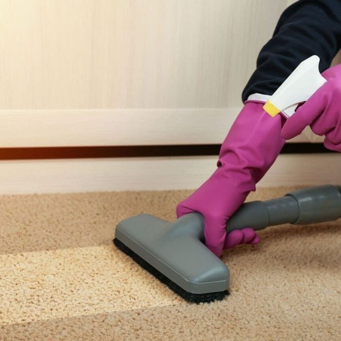 Cheap Carpet Pet Removal Perth 