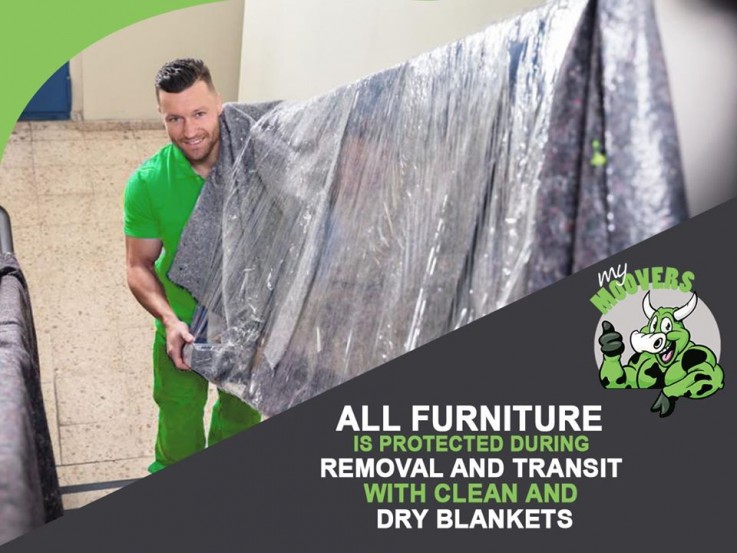 Removalists Sunshine Coast | Movers & Packers