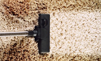 Carpet Mould Damage Removal Melbourne Service