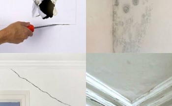 Gyprock Repairs Brisbane | Grolife	