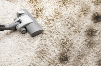 Best Dust Mites Treatment in Perth