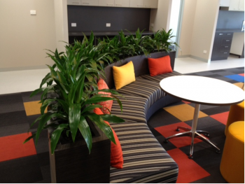 Quality Office Plant Hire in Melbourne