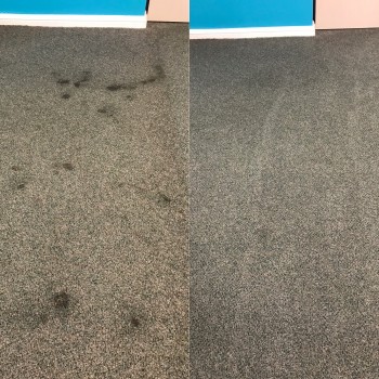 Emergency Carpet Cleaning Perth