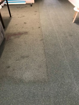 Emergency Carpet Cleaning Perth