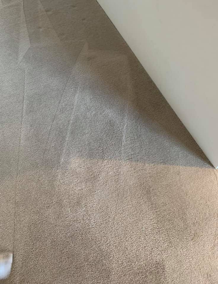 Emergency Carpet Cleaning Perth