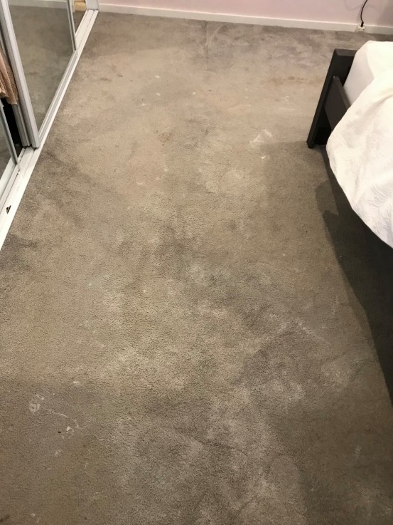 Emergency Carpet Cleaning Perth