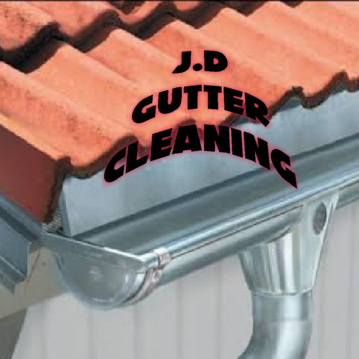 GUTTER CLEANING $35 