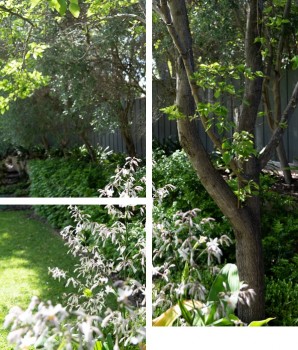 Garden Designers in Perth