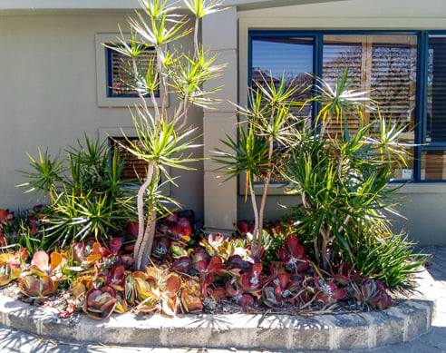 Landscape and Horticultural Services