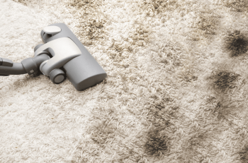 Professional hot water extraction carpet cleaning