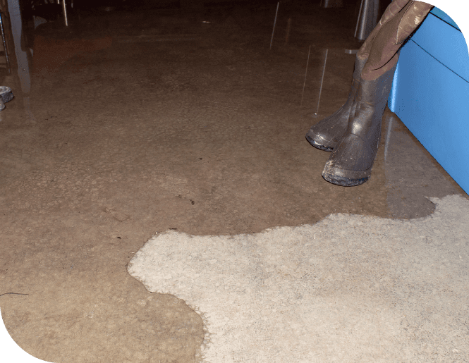 Flood Damage Restoration Melbourne