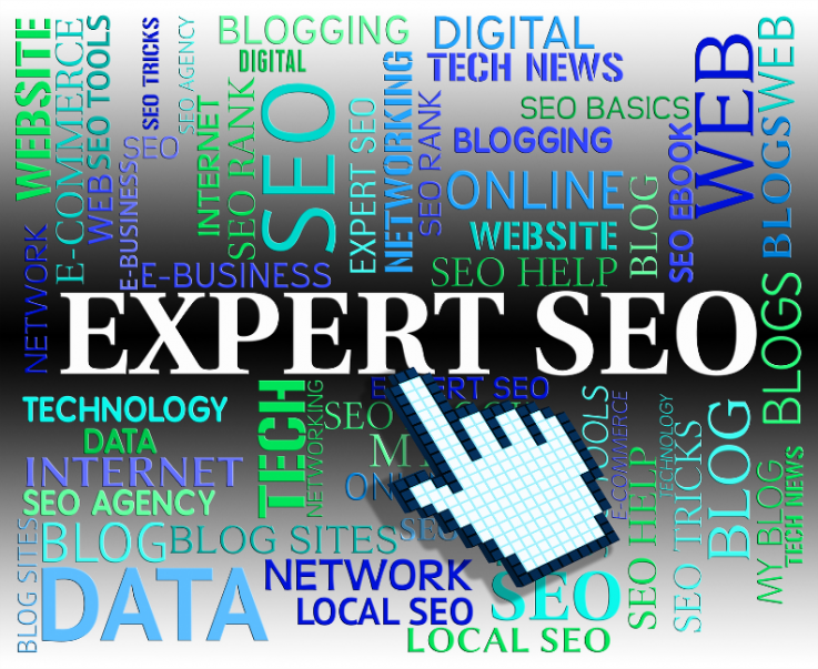 Professional SEO Services at Affordable 
