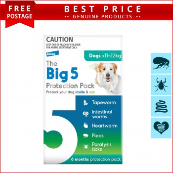  The Big5 Protection Green Pack for Dogs