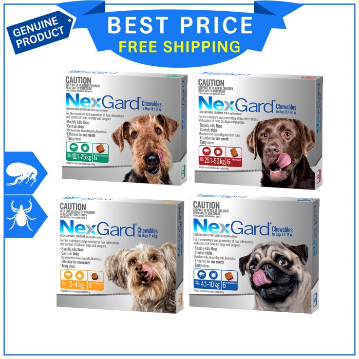 NexGard for Dogs Flea and Tick Treatment