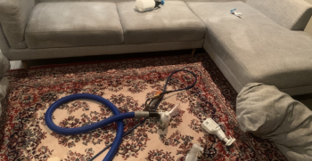 Better Assistance in Carpet Steam Cleaning Now Within Your Reach