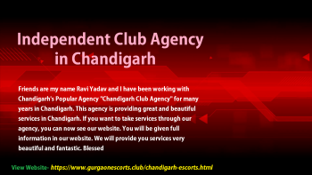 Best Chandigarh Services 