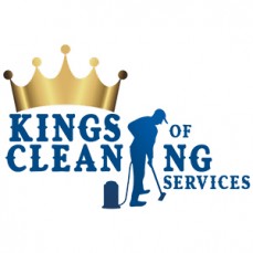 Professional Carpet Cleaning Saint Marys Service