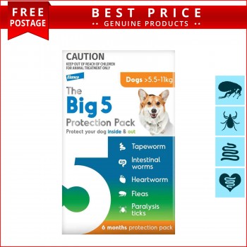 The Big5 Protection Orange 5.5-11 Kg Dog