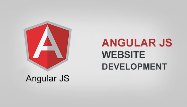  AngularJS Web Development company
