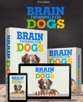 Brain Training For Dogs