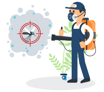 Spider Control Adelaide