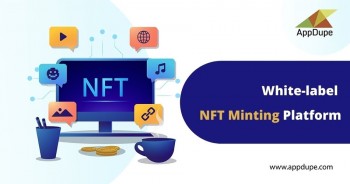 Develop Whitelabel NFT Minting Platform