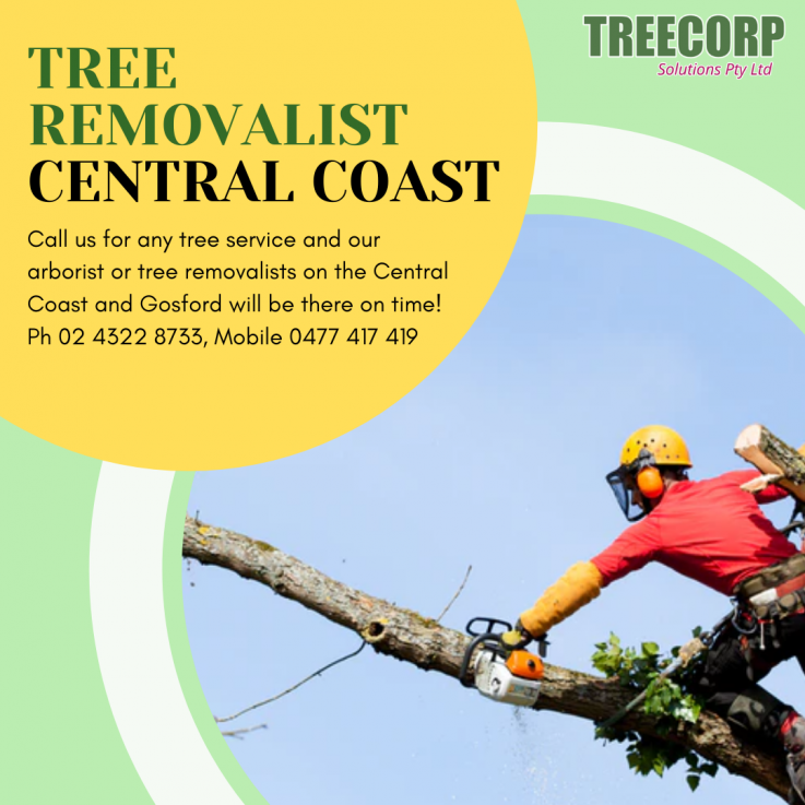 Stump Grinding in Gosford