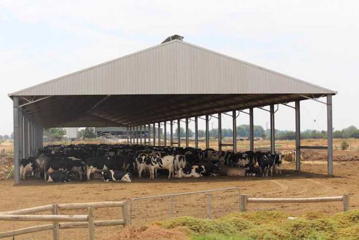 Entegra Signature Structures