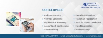 Need Audit & Assurance Service?