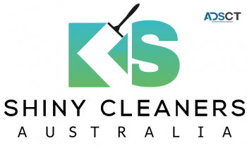 Professional Cleaning Service