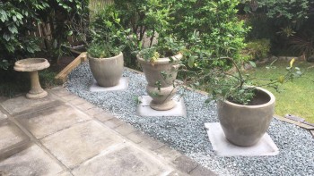 Brisbane City Landscapes