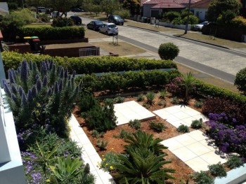 The Most Effective Lawn Care in Sydney