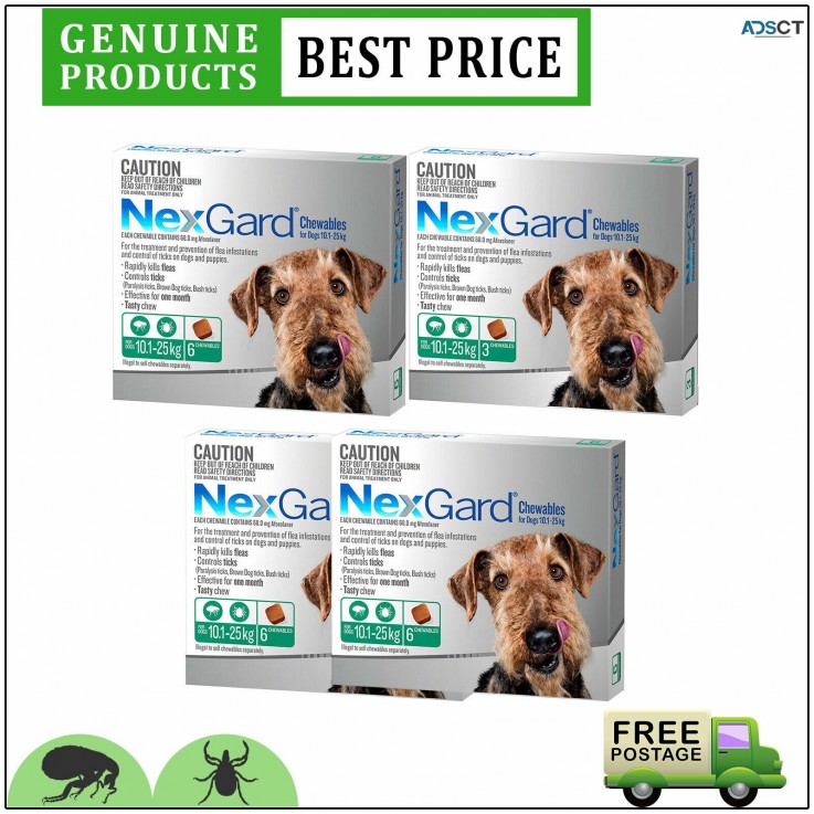 Nexgard Flea & Tick Protection For Dogs 