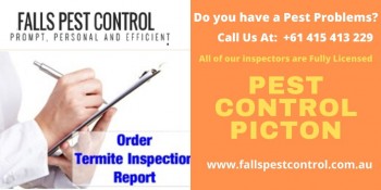 Highly Termite Expert Picton- Falls Pest Control 