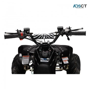 GMX 110cc The Beast Sports Quad Bike – B