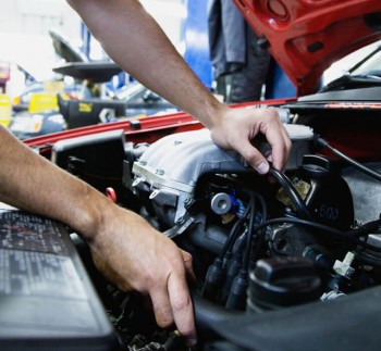 Eurospec Automotion WA