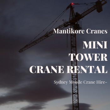 Mini Tower Crane Rental
