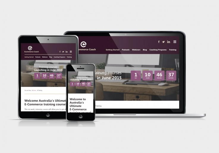Ecommerce Website Design Services in Wer