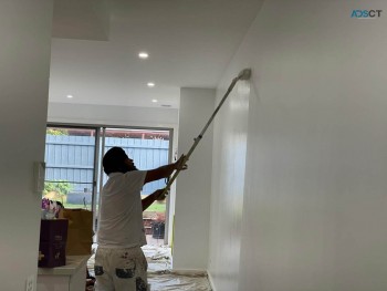Professional House Painters in Clyde