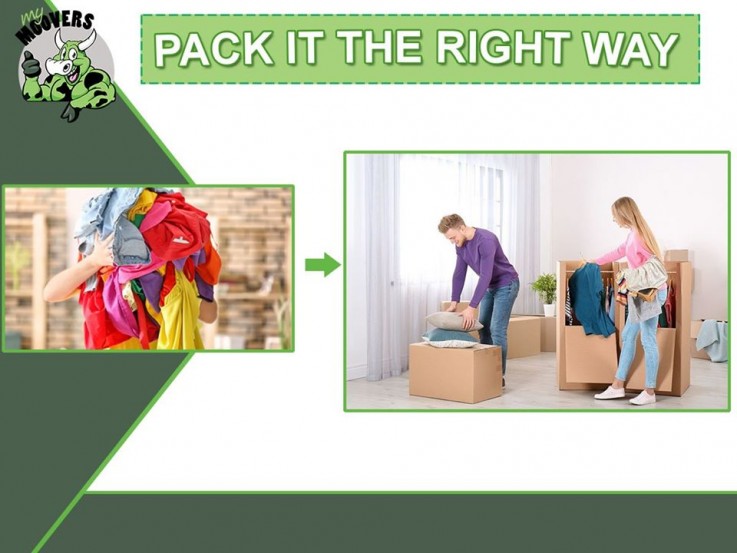 Removalists Geelong | My Moovers